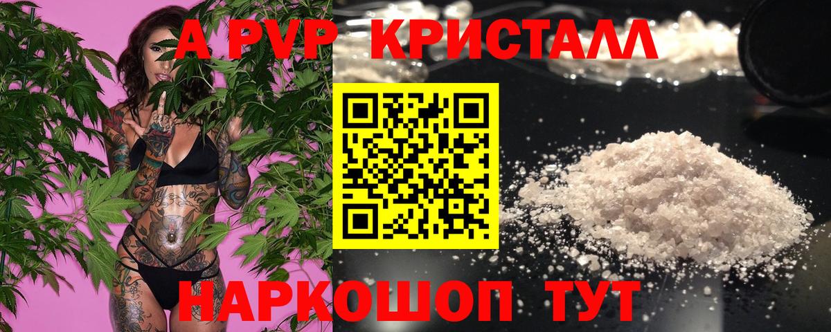 Альфа ПВП СК КРИС Малгобек