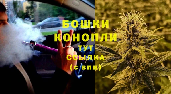 PSILOCYBIN Костерёво