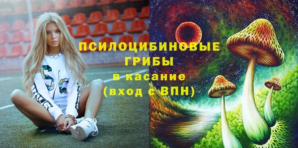 мяу мяу мука Ладушкин