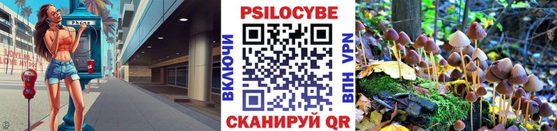 наркота  Малгобек  KRAKEN онион  Псилоцибиновые грибы MAGIC MUSHROOMS 