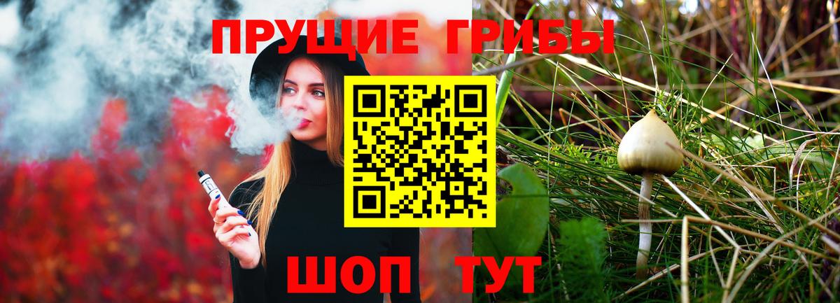 Псилоцибиновые грибы Psilocybine cubensis  Галлюциногенные грибы GOLDEN TEACHER  Вход с VPN  Малгобек 
